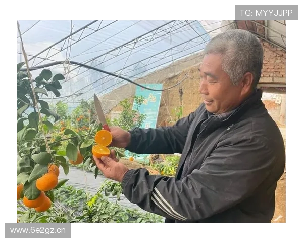 甘谷企业家：创新驱动与乡村振兴的融合之路